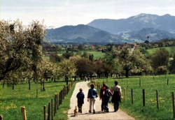 Bild: Bad Feilenbach Blütenwanderweg