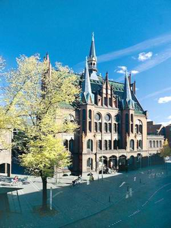 Bild: 
Neum&uuml;nster