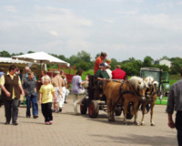 Bild: Besucher der Wanderausstellung