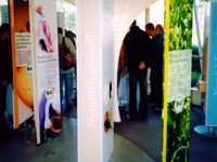 Bild: Besucher der Wanderausstellung